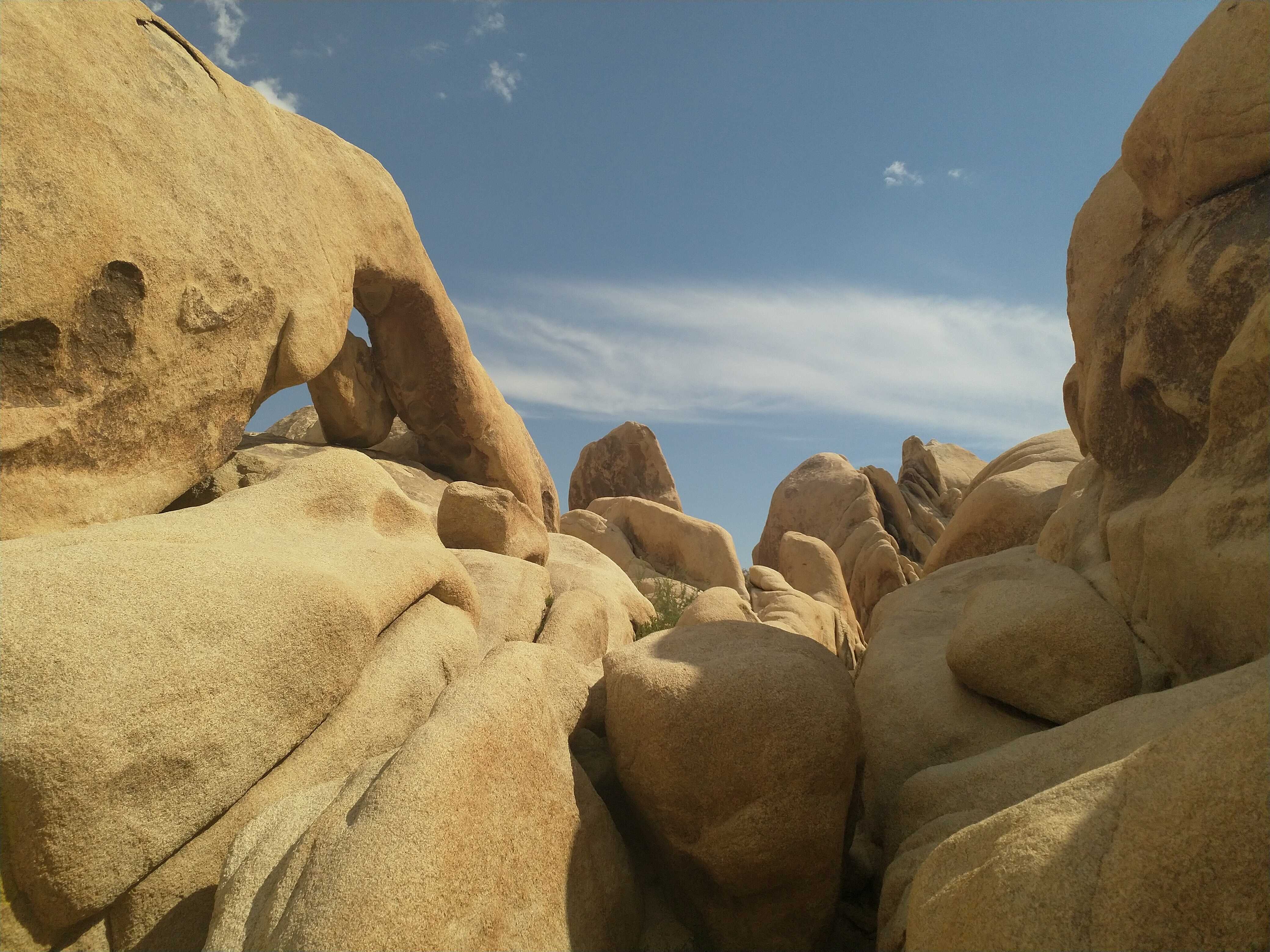 Some rocks at Joshua Tree National Park.