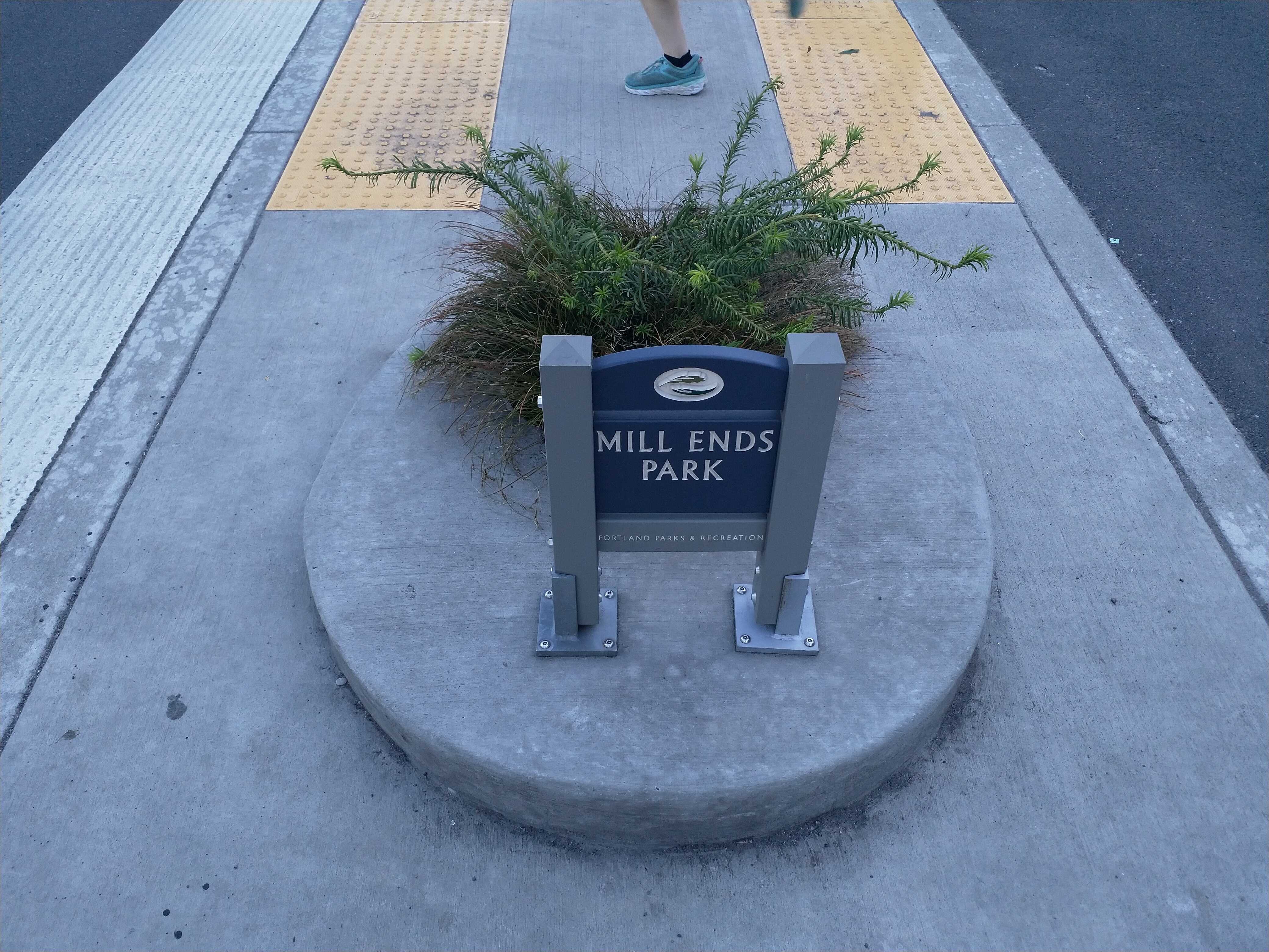 The world&rsquo;s smallest park: Mill Ends Park.