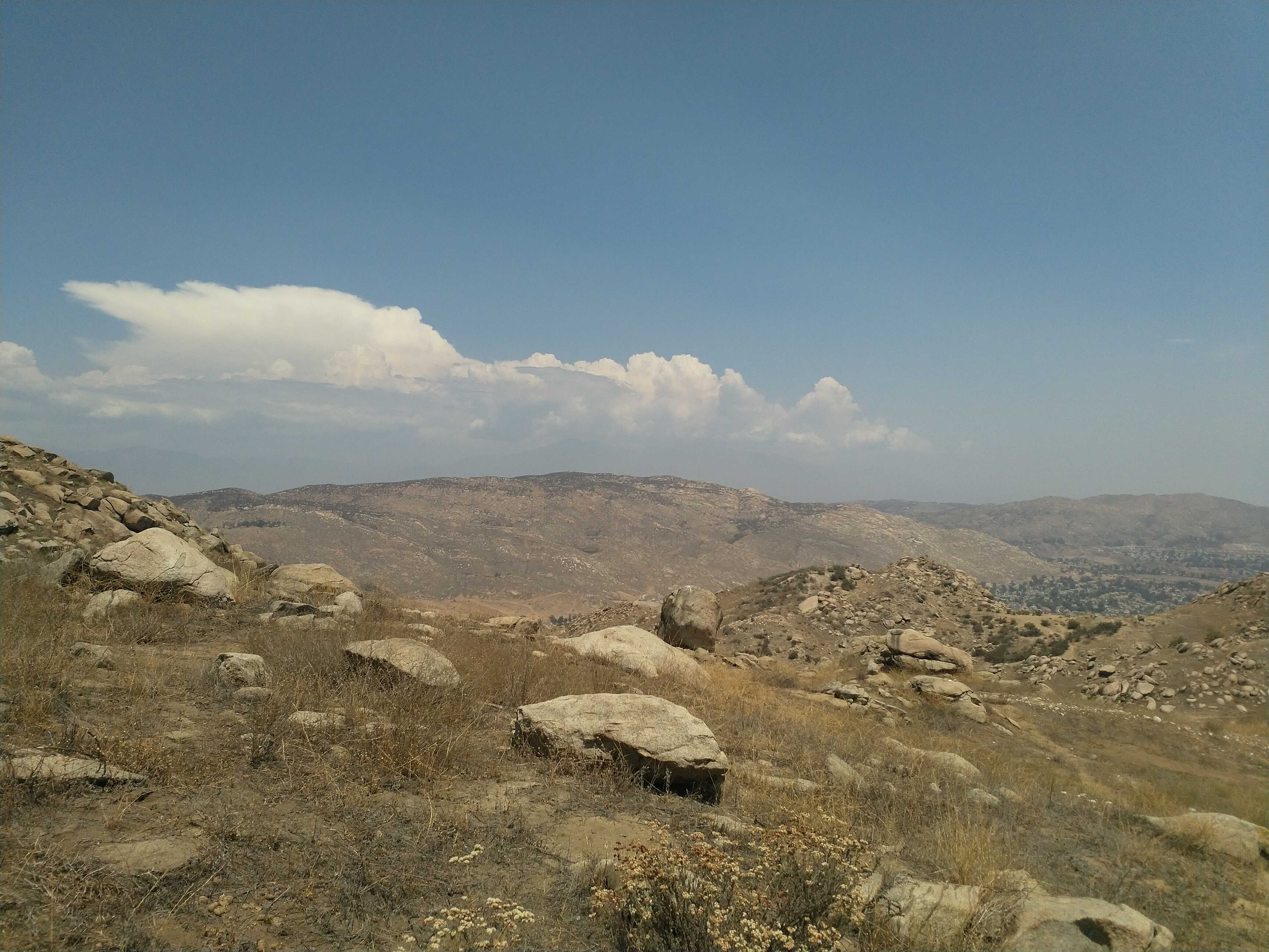 View from the Two Trees Trail.